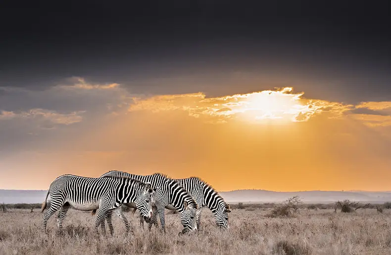 7 Day Best of Kenya Safari