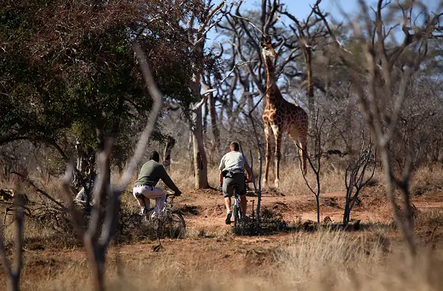 Mountain biking at Hlane Royal National Park