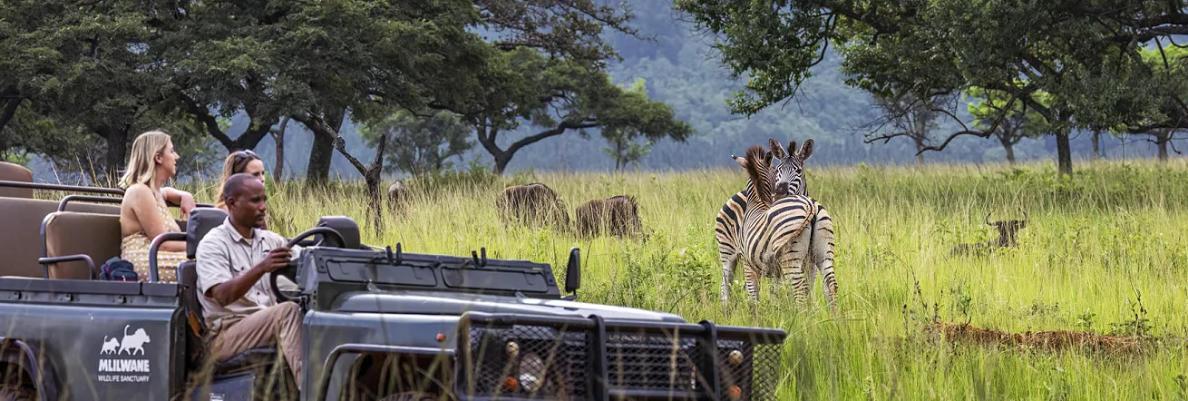 Game drives in the Mlilwane Wildlife Sanctuary