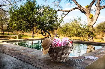 Swimming pool overlooking the savannah