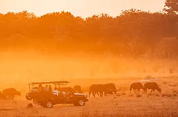 Sunset game drives from Sable Valley Lodge