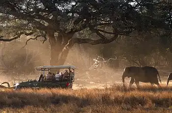 Elephants in the Hwange National Park
