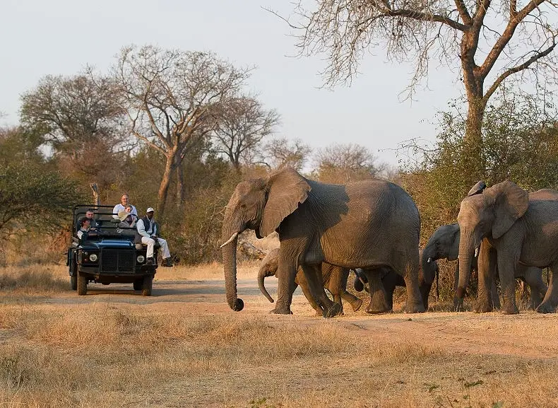 7 Day Luxury Safari - South Africa