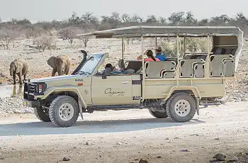 Game drives in the Onguma Reserve