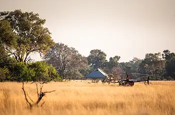 Arrive in the Okavango Delta by helicopter