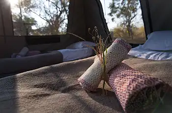 Cozy bedrolls in the tents to end your day on