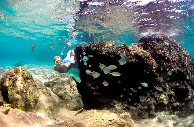 Snorkelling at Thonga Beach Lodge