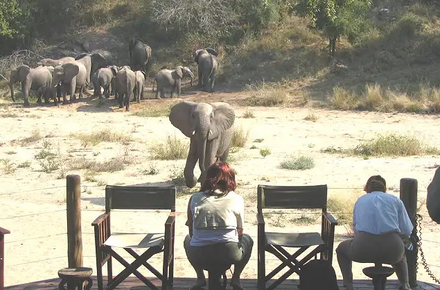 Elephants and other wildlife sometimes pass the deck at Rhino Post Safari Lodge
