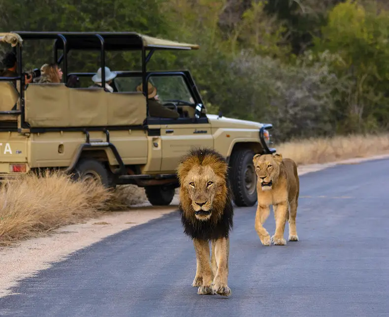 7 Day South Africa Self-Drive Tour