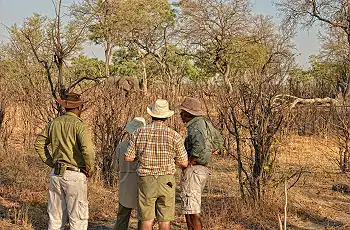 Walking safaris through the Hwange National Park, Somalisa Camp