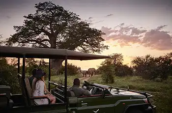 Game drives at Victoria Falls River Lodge
