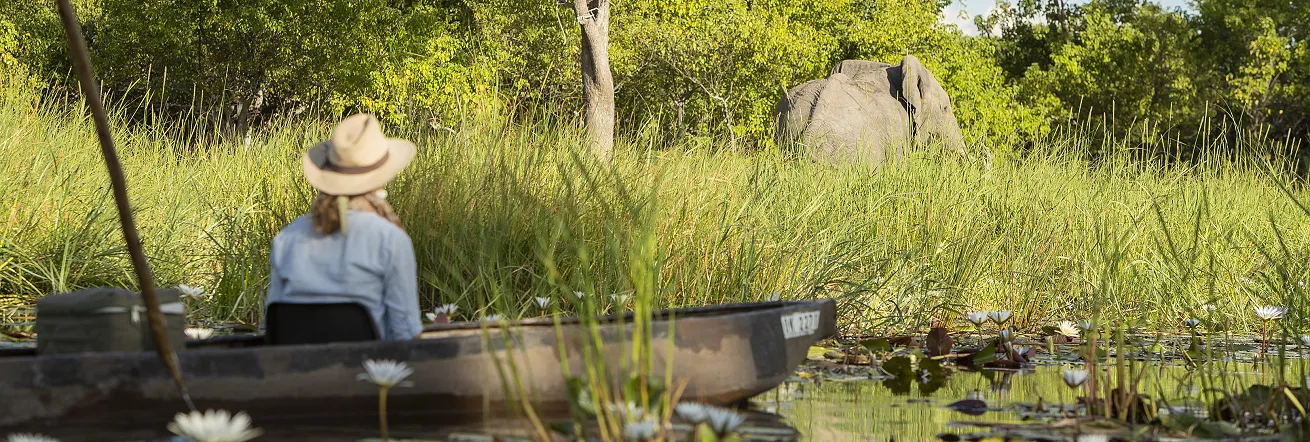 A mokoro trip on the Khwai River