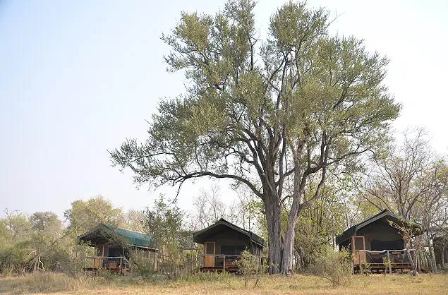 Sango Safari Camp tents