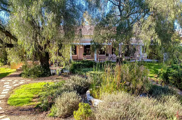 Exquisite gardens at Darling Lodge