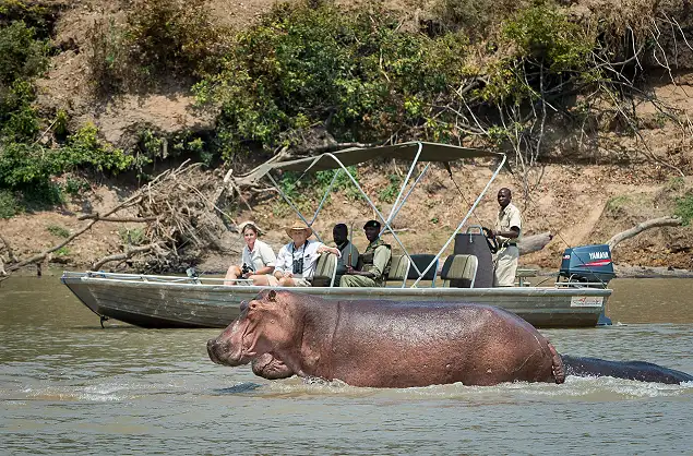A flooded food plain on safari in Zambia