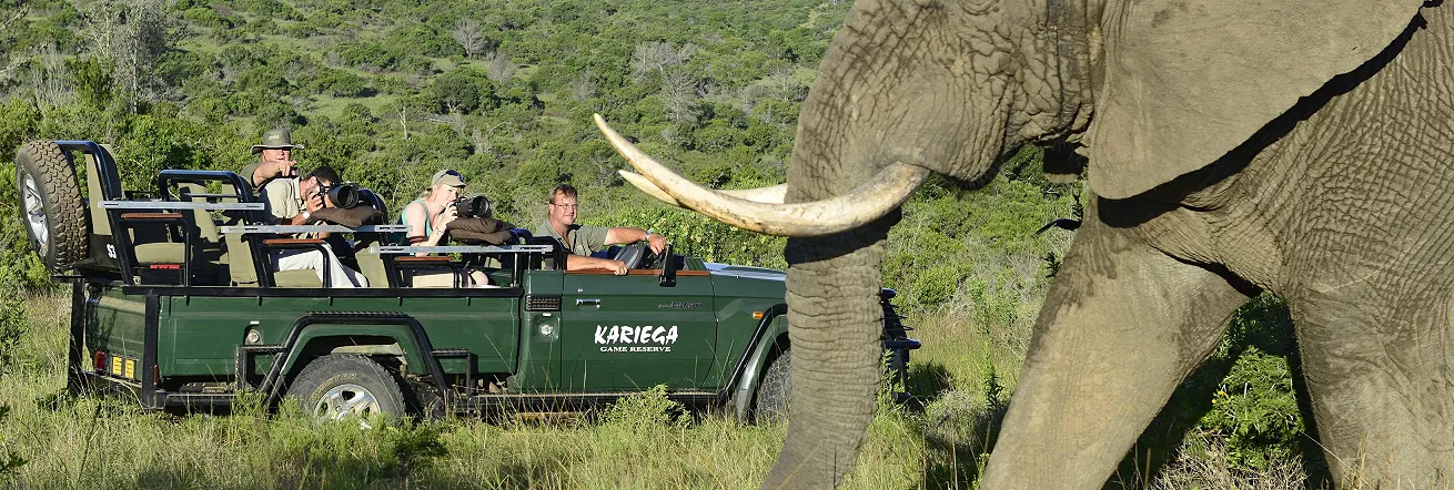 Game Drives at Kariega Private Game Reserve