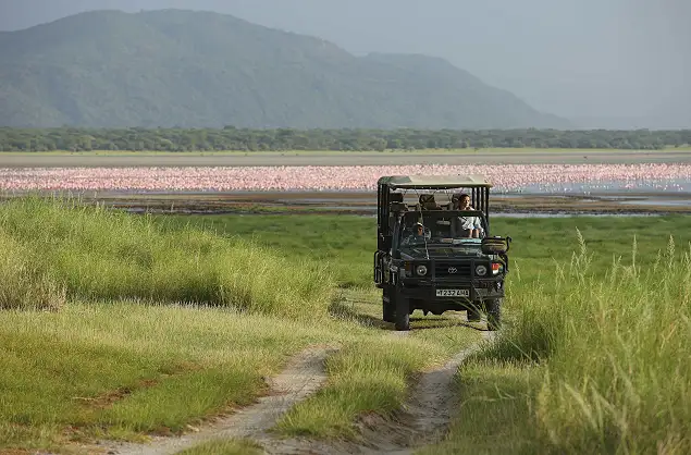 Lake Manyara with pink flamingos in the distance