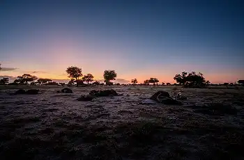 Camping in the open under the stars, Lowveld Trails
