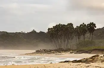 Early mornings on the beachs of Loango National Park, Jandré Germishuizen