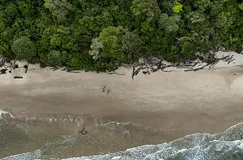 Forests meet beach, Loango National Park, Jandré Germishuizen