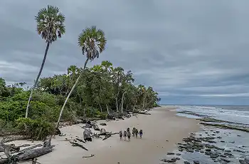 Walking where the ocean meets the forests, Loango National Park, Jandré Germishuizen