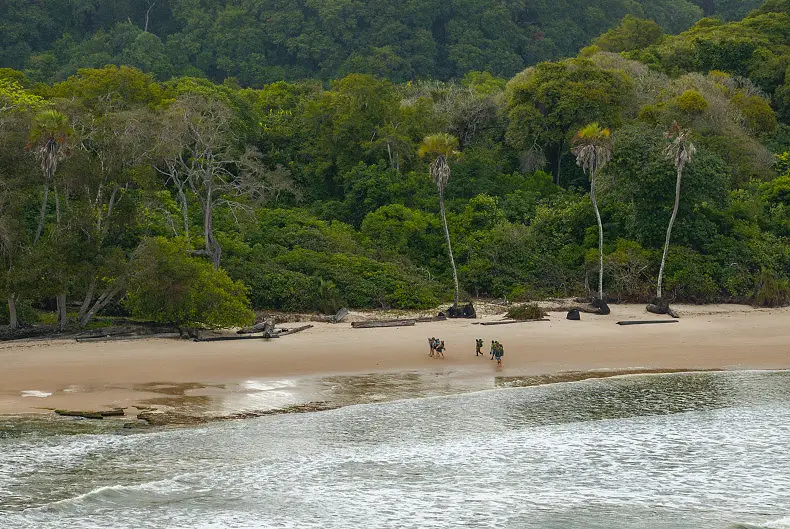 8 Day Loango Wilderness Walking Safari