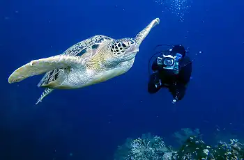 Scuba diving,  Bazaruto Island Resort