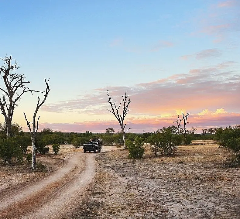 8 Day Safari and Beach Family Trip
