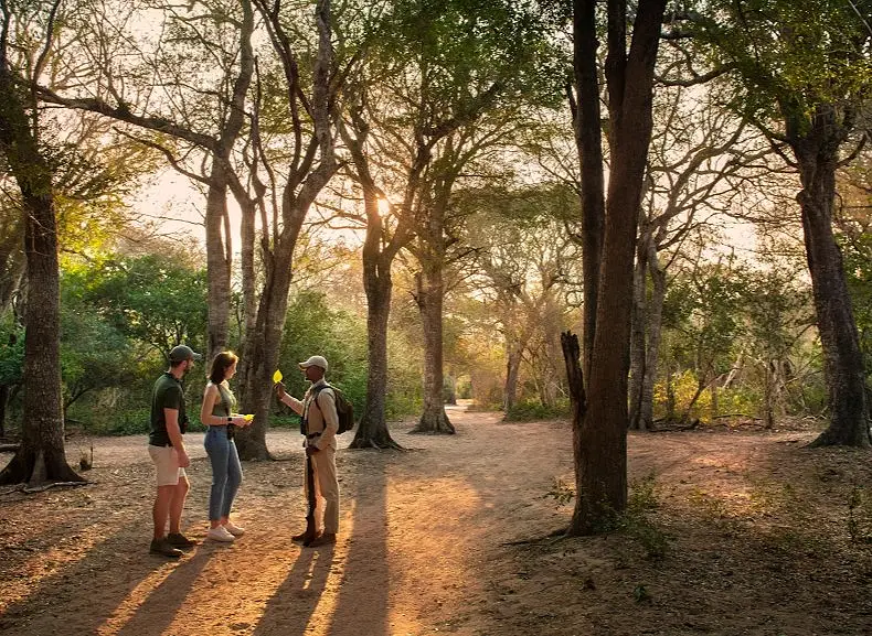 8 Day Safari and Beach Honeymoon