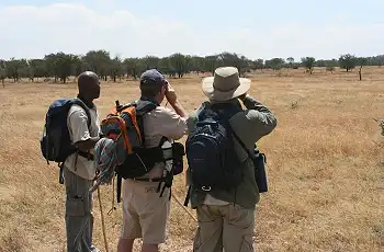 Walking through the Serengeti National Park
