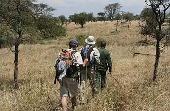 Enjoy the beautiful landscapes as you traverse the Serengeti