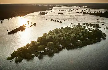An island on  Zambezi River above Victoria Falls