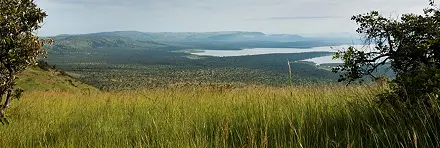 A Safari in the Sabi Sands