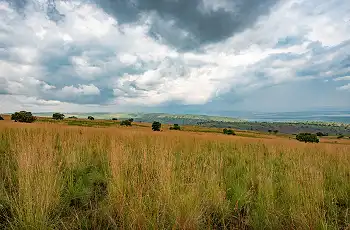 Grasslands, Akagera National Park - Ruzizi Tented Lodge - Credit Drew Bantlin & Akagera Management Company