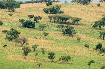Landscape at Akagera National Park - Ruzizi Tented Lodge - Credit Drew Bantlin & Akagera Management Company