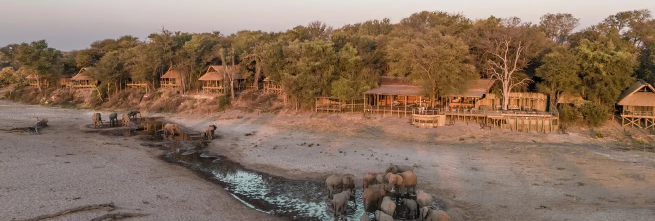 Elephants drink just about daily in front of Savute Safari Lodge