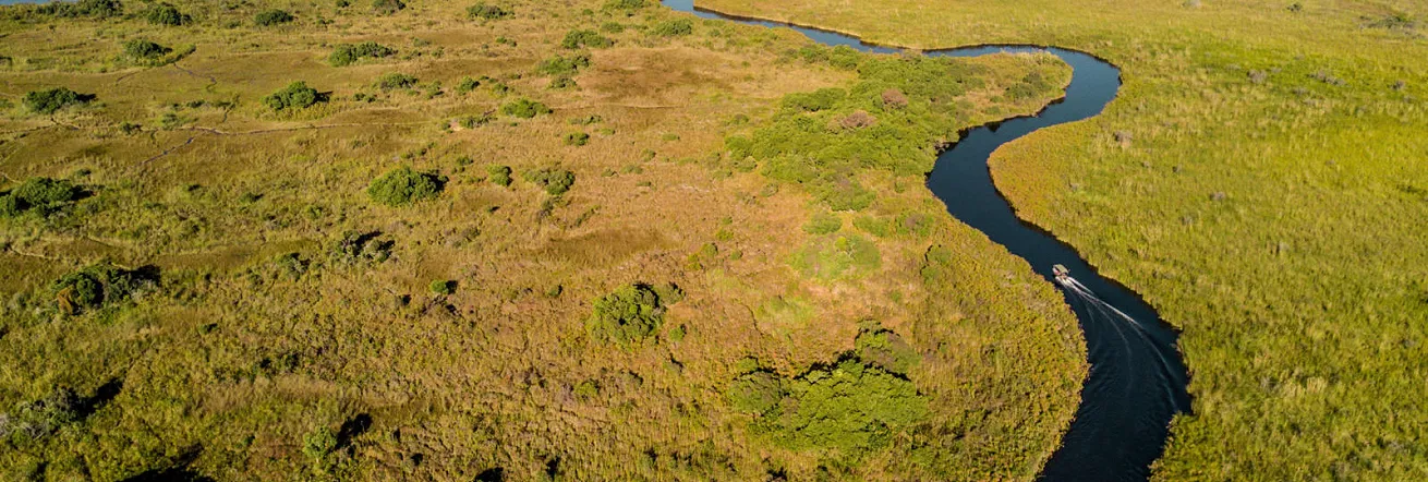 The Okavango Delta, near Xugana Island Lodge