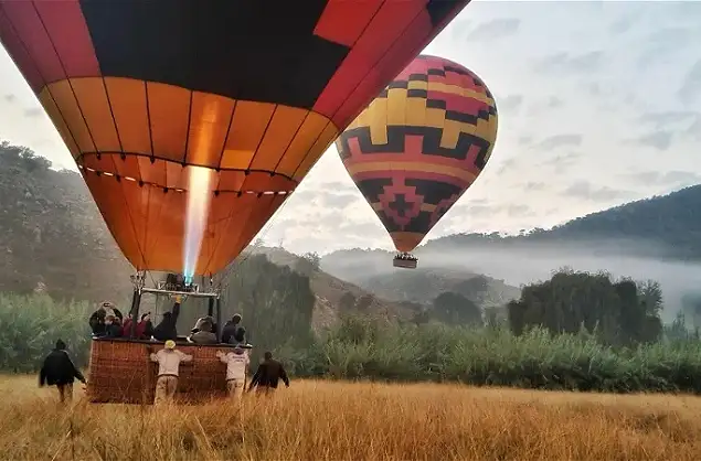 Taking off in the game reserve