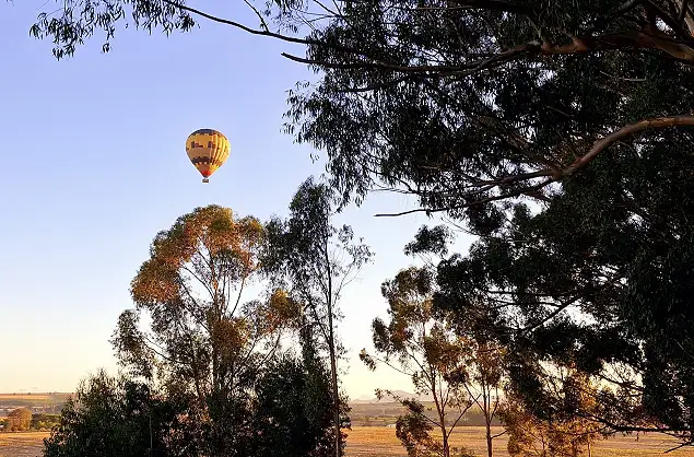 View of the balloon from the ground - Ballooning Cape Town