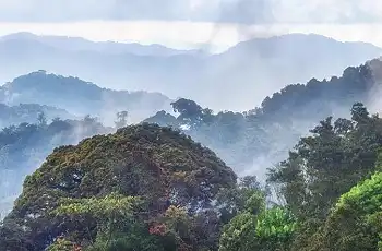 Nyungwe Forest, Rwanda