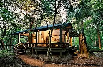 A luxury retreat in the Phinda Game Reserve