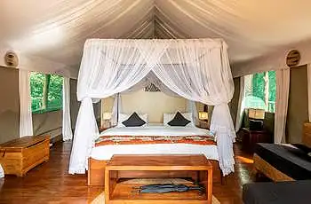 Tent Interior at Ruzizi Tented Lodge - (Credit: Drew Bantlin - Akagera Management Company)