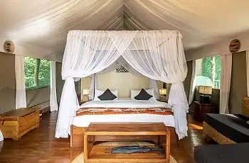 Ruzizi Tented Lodge - Credit Drew Bantlin & Akagera Management Company
