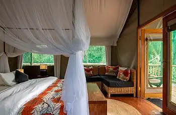 Ruzizi Tented Lodge -  (Credit: Drew Bantlin - Akagera Management Company)