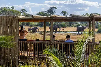 Views out over the waterhole, SabiSabi Bush Lodge
