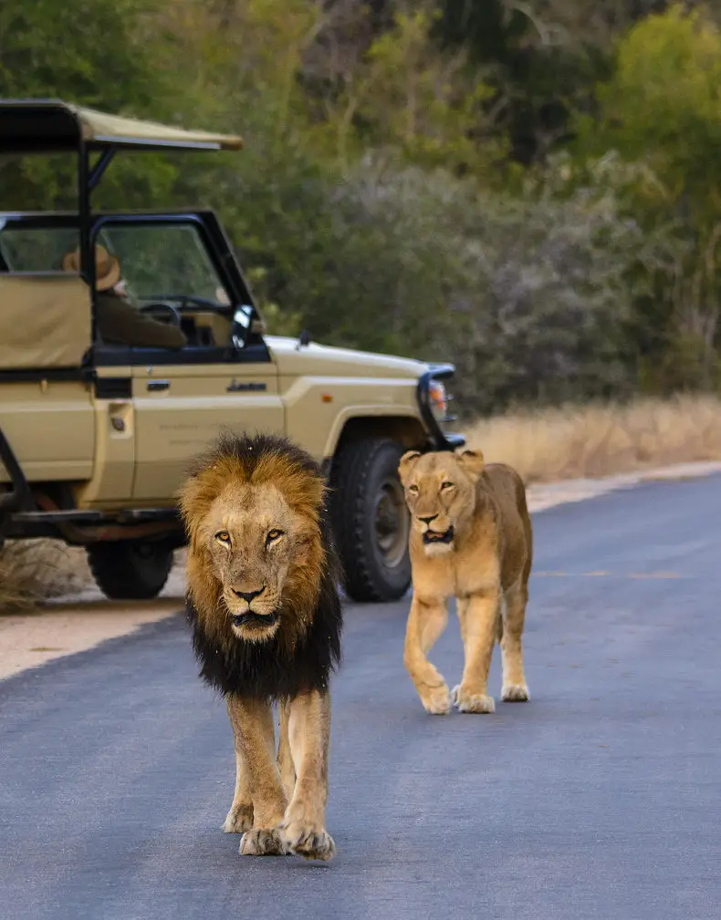 Self Drive South Africa in 14 Days
