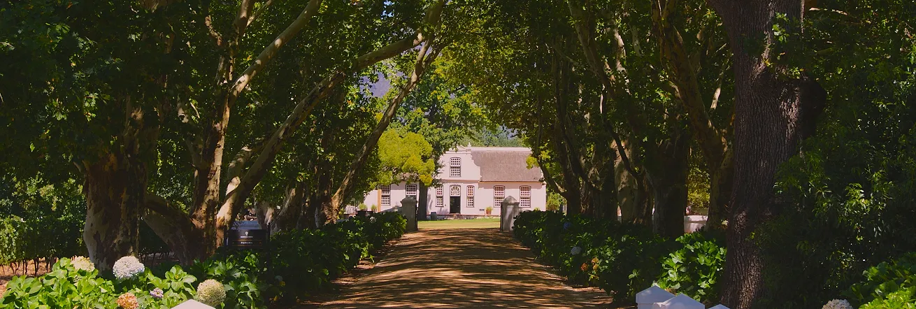 The Cape Dutch architecture of the Cape Winelands