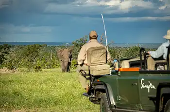 Singita is one of South Africa's premier safari destinations