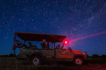 Experience a night game drive at Little Makalolo