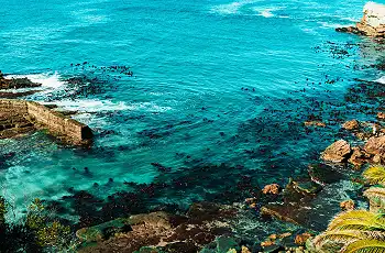 Hermanus coastline, South Africa, Escape & Explore
